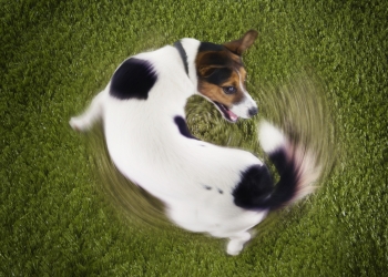 Going in circles